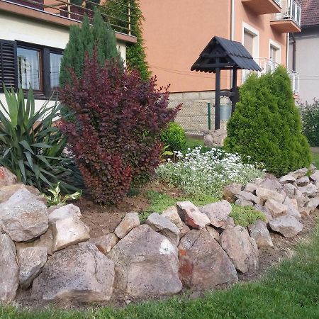 Apartment Flora Arandjelovac Dış mekan fotoğraf